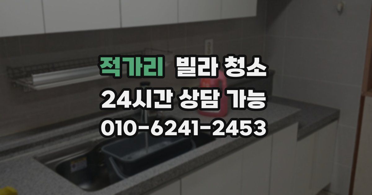 적가리 빌라 청소