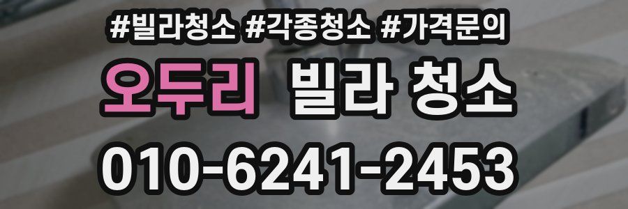 오두리 빌라 청소