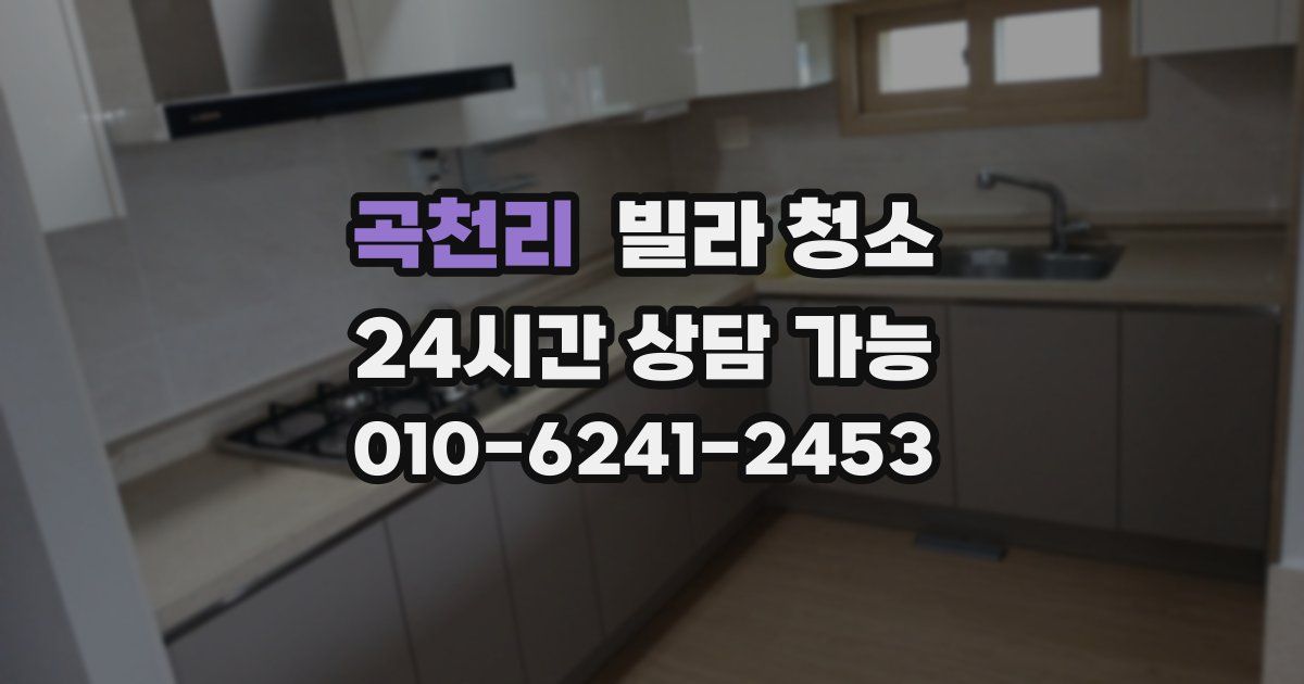 곡천리 빌라 청소