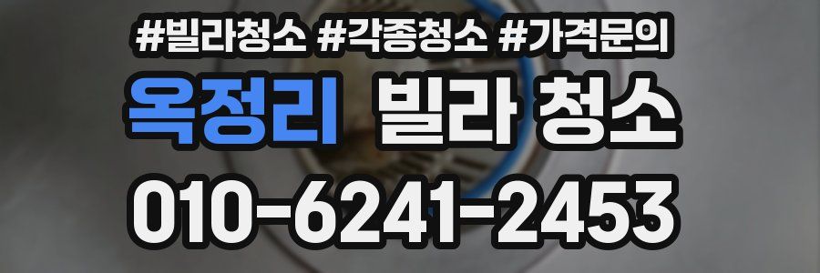 옥정리 빌라 청소