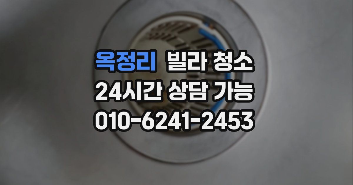 옥정리 빌라 청소