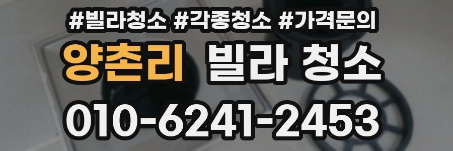 양촌리 빌라 청소