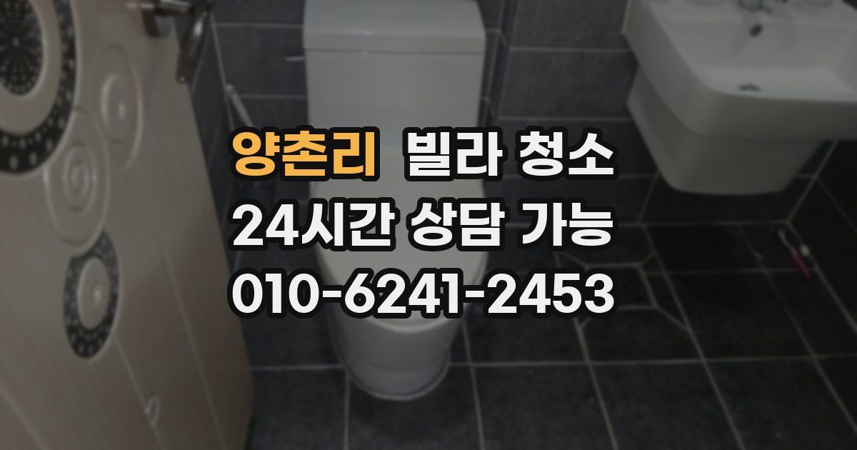 양촌리 빌라 청소