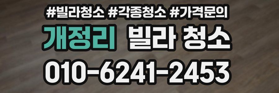 개정리 빌라 청소