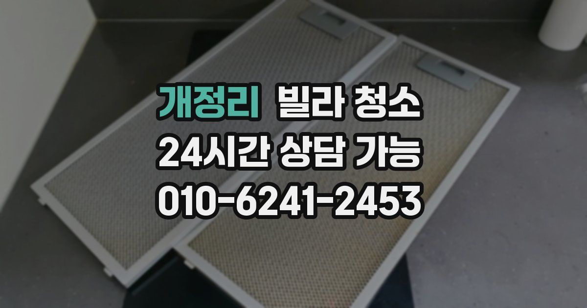 개정리 빌라 청소