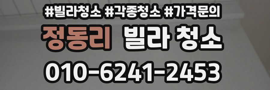 정동리 빌라 청소