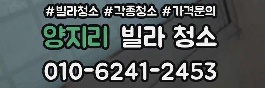 양지리 빌라 청소