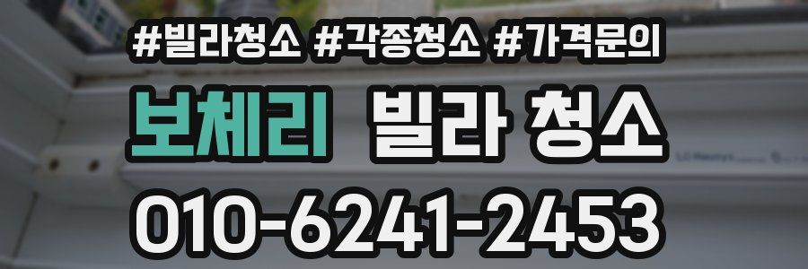 보체리 빌라 청소