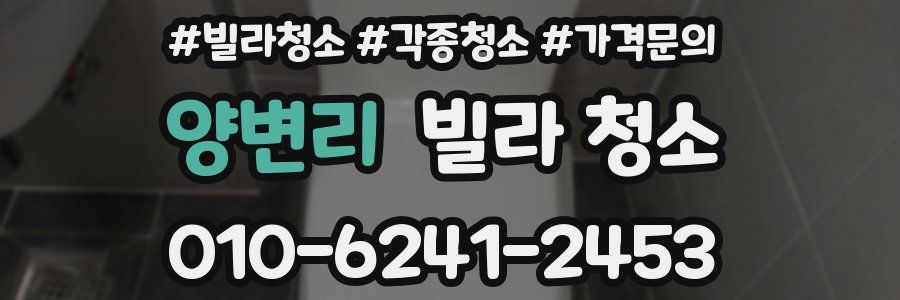 양변리 빌라 청소