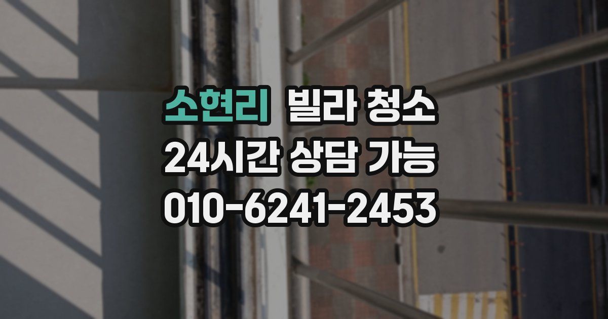 소현리 빌라 청소