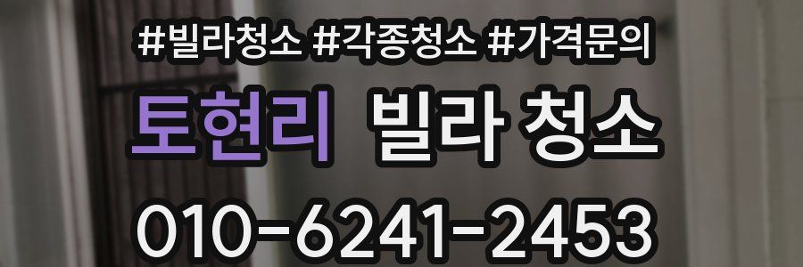 토현리 빌라 청소