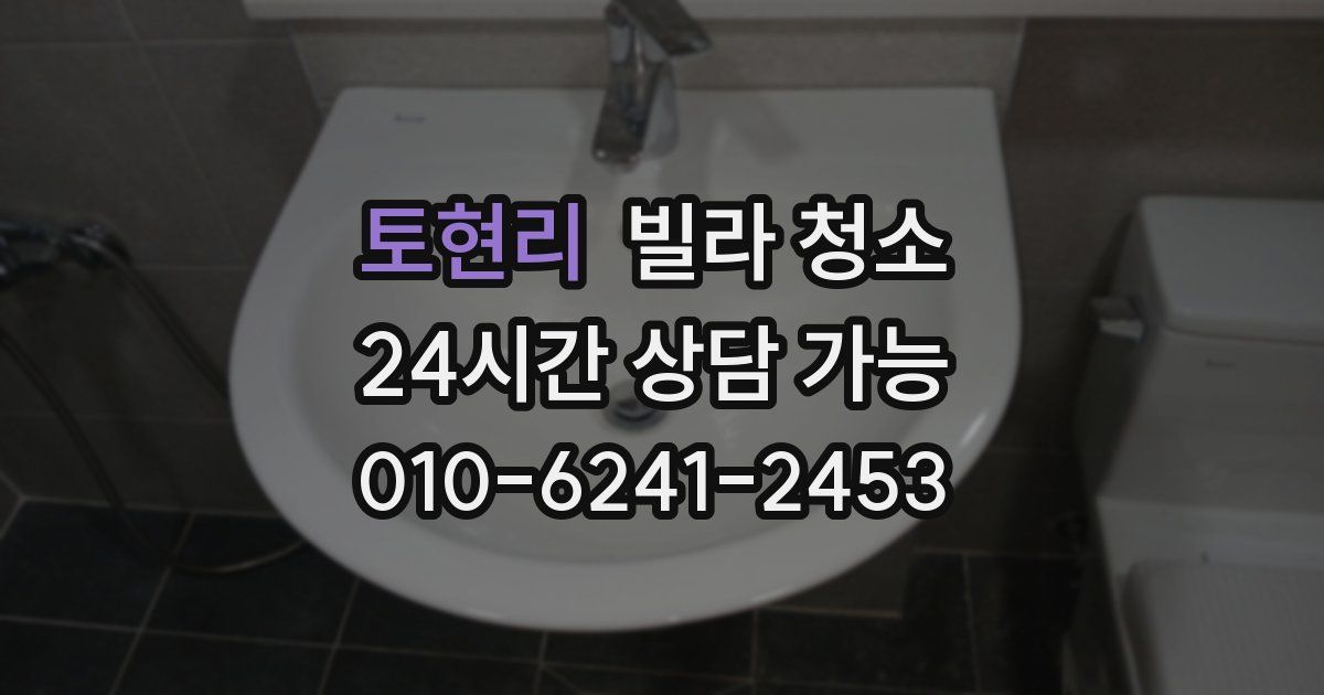 토현리 빌라 청소