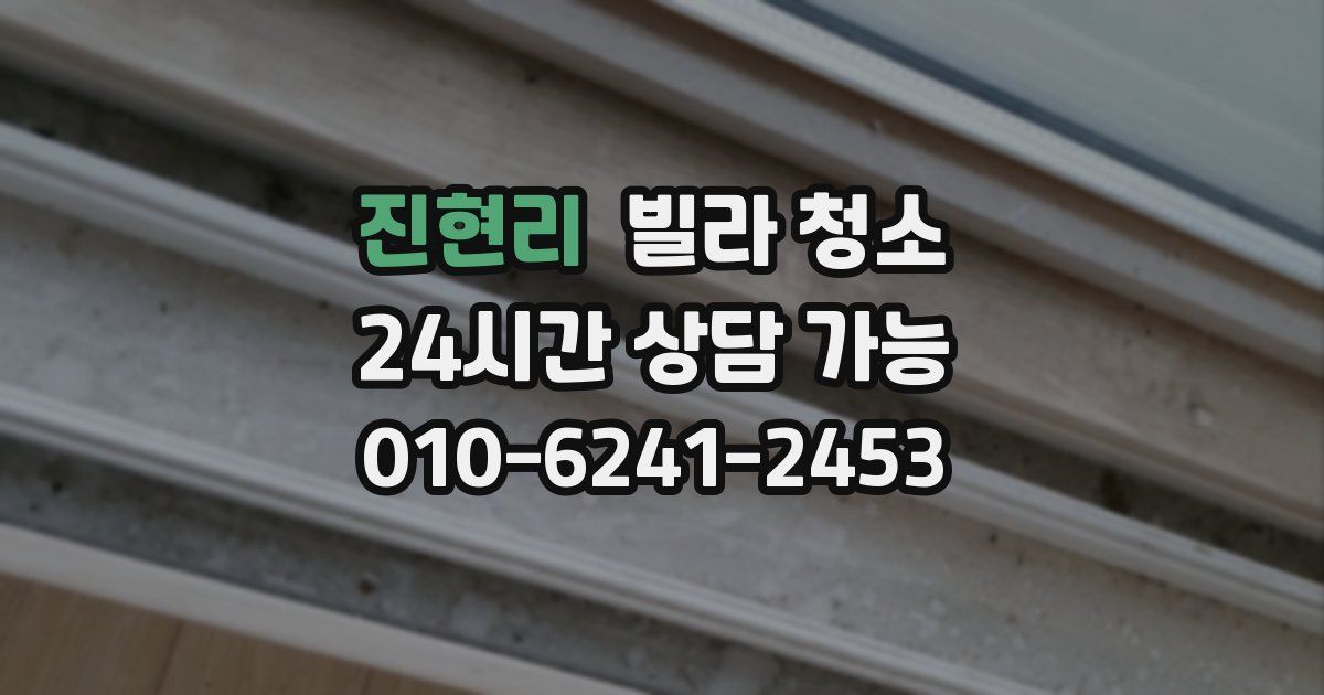 진현리 빌라 청소