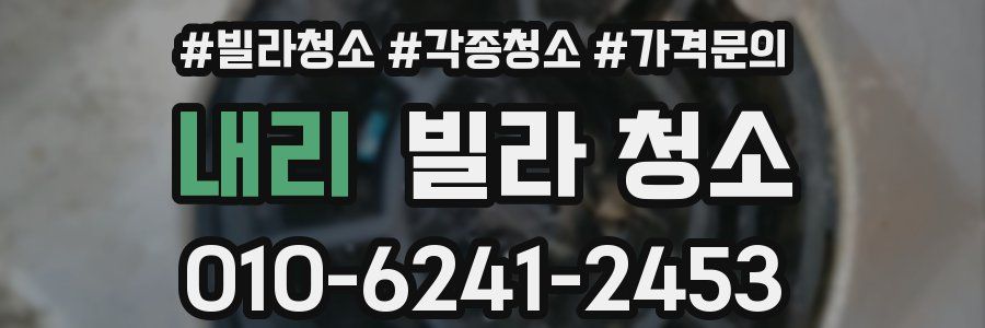 내리 빌라 청소