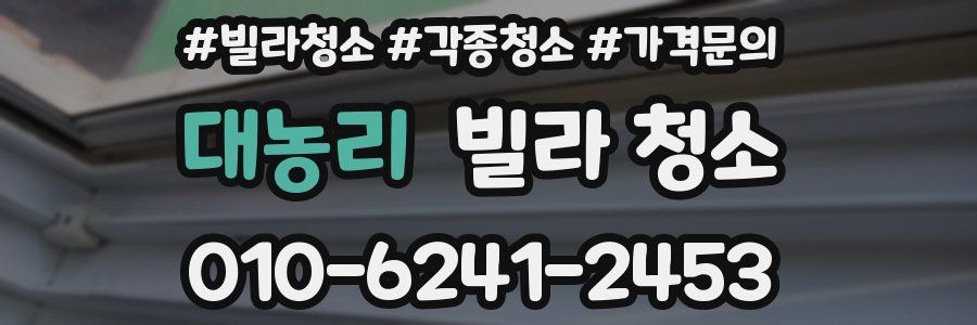 대농리 빌라 청소