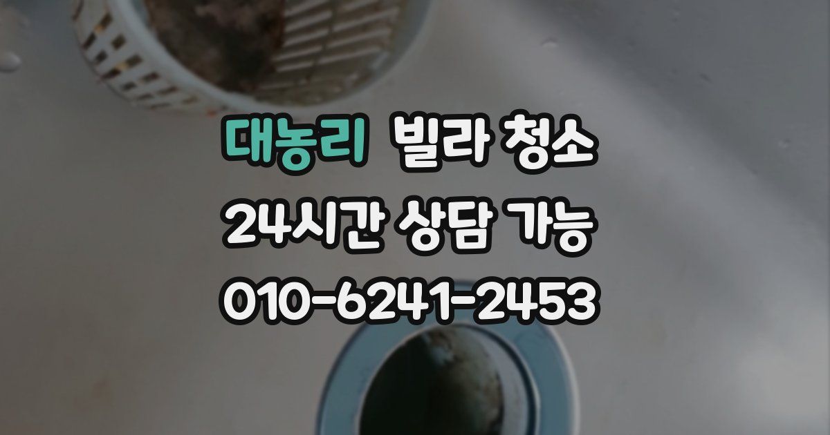 대농리 빌라 청소