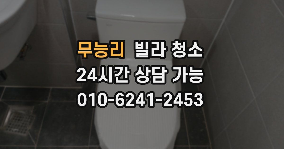 무능리 빌라 청소