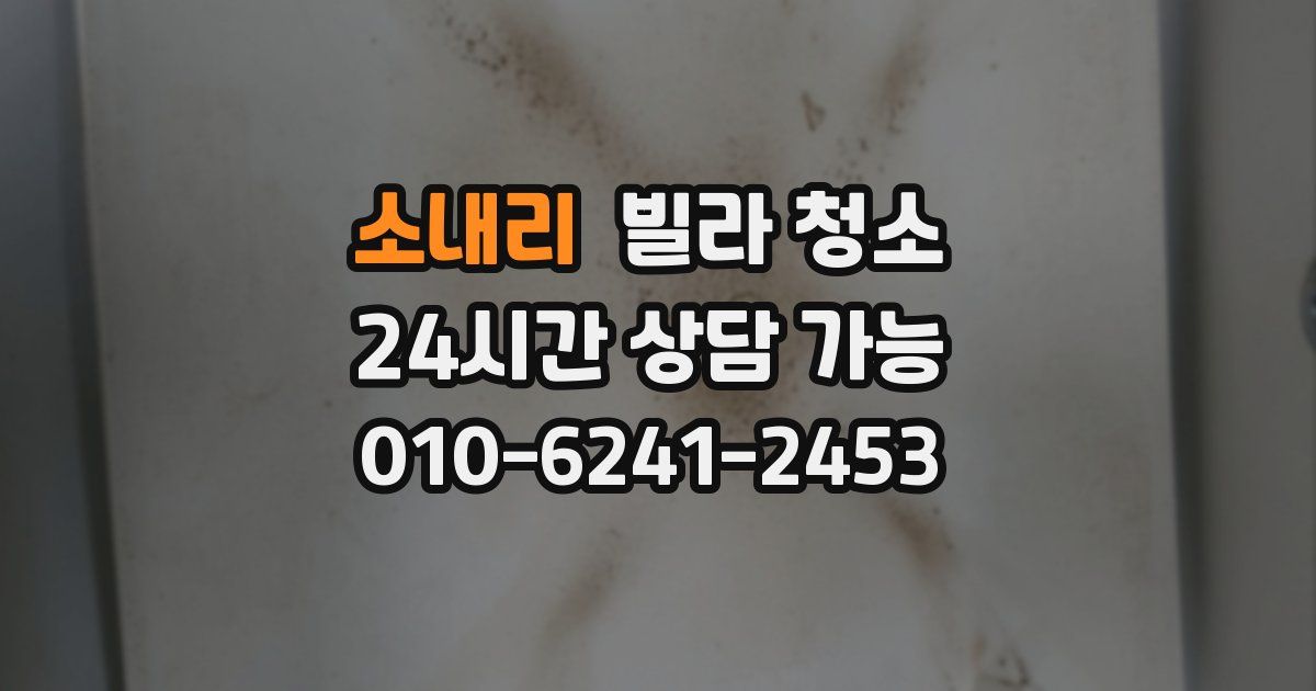 소내리 빌라 청소