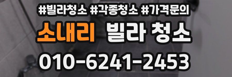 소내리 빌라 청소