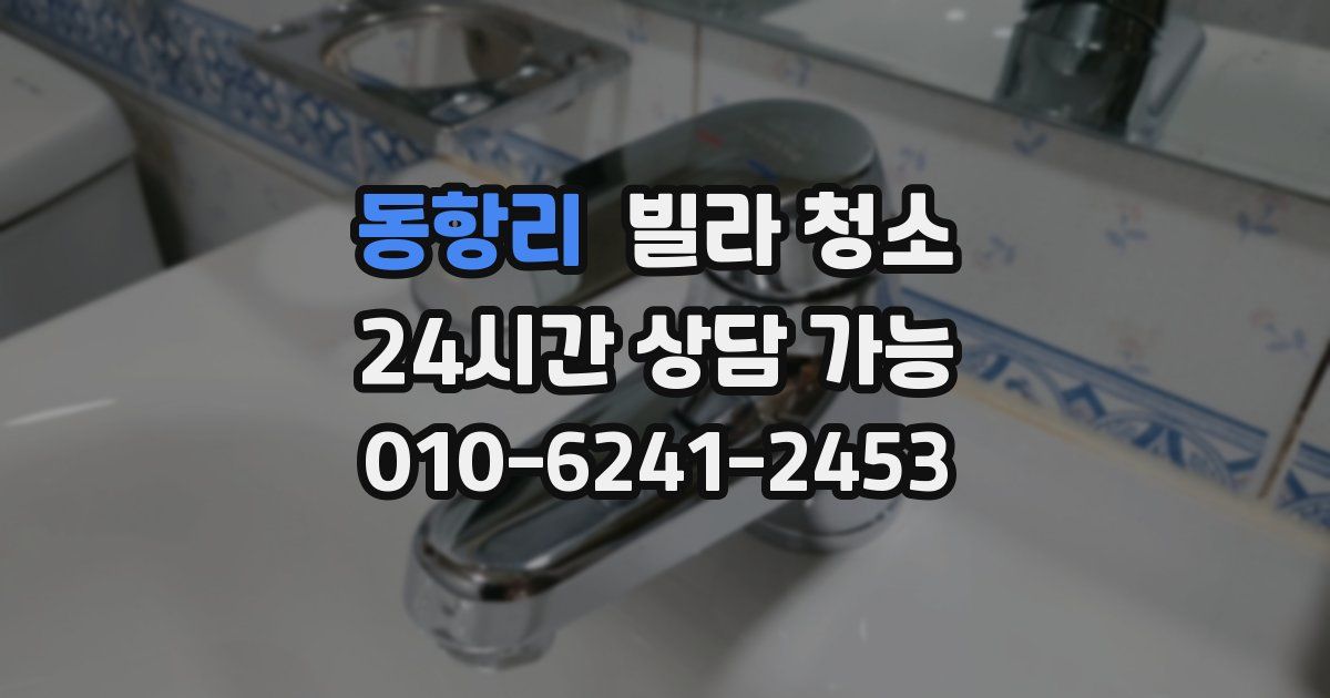 동항리 빌라 청소
