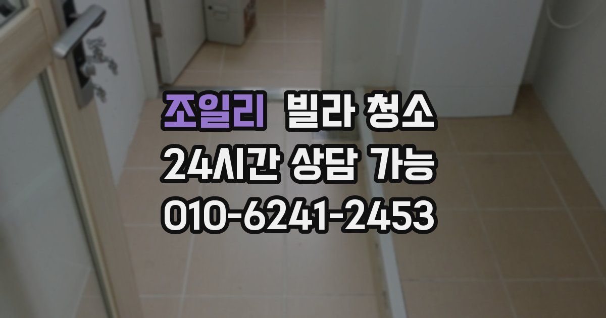 조일리 빌라 청소