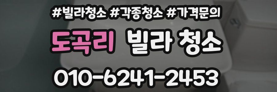 도곡리 빌라 청소