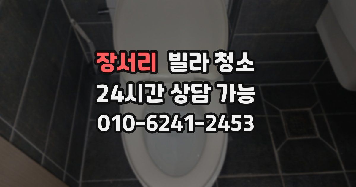 장서리 빌라 청소