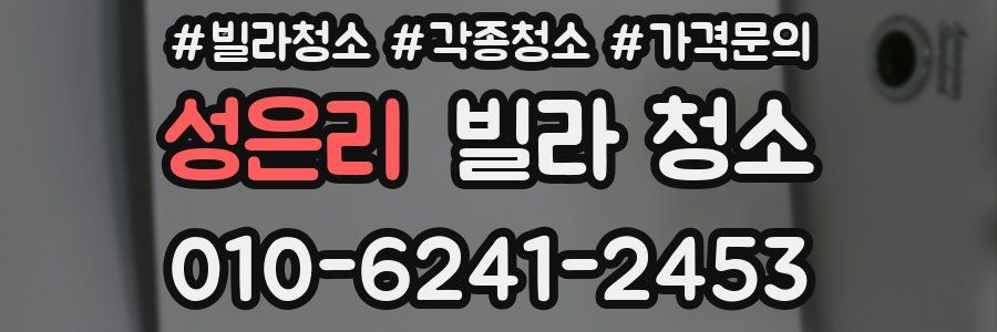 성은리 빌라 청소