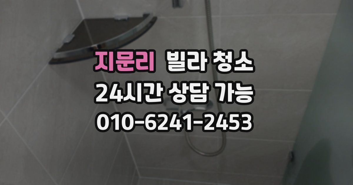 지문리 빌라 청소