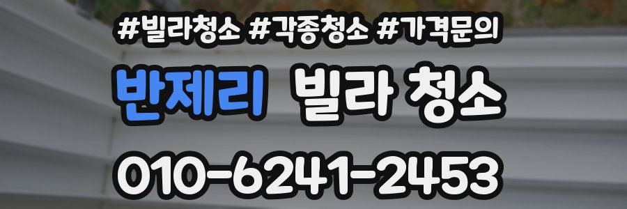 반제리 빌라 청소