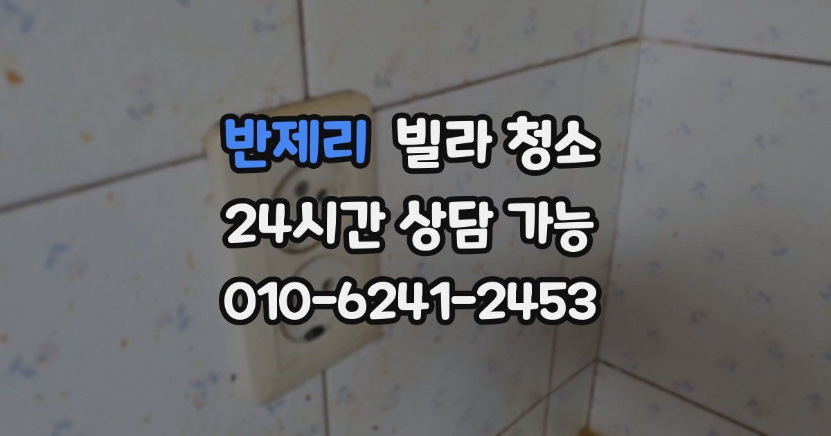 반제리 빌라 청소