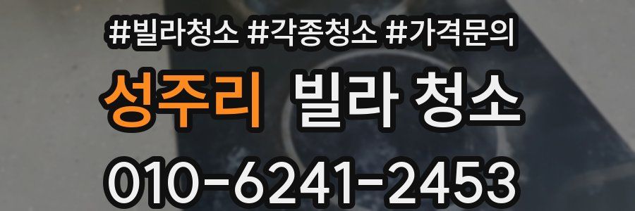 성주리 빌라 청소