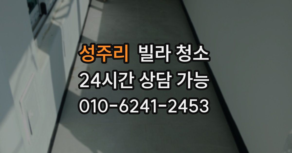 성주리 빌라 청소
