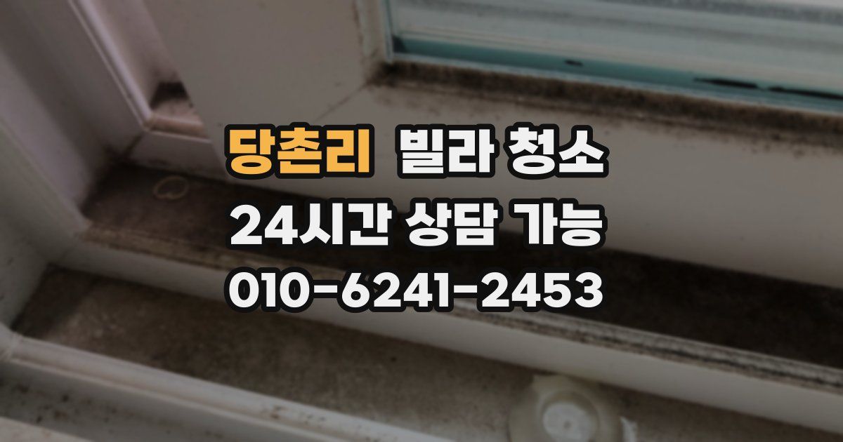 당촌리 빌라 청소