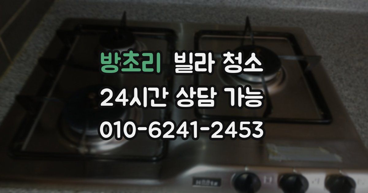 방초리 빌라 청소