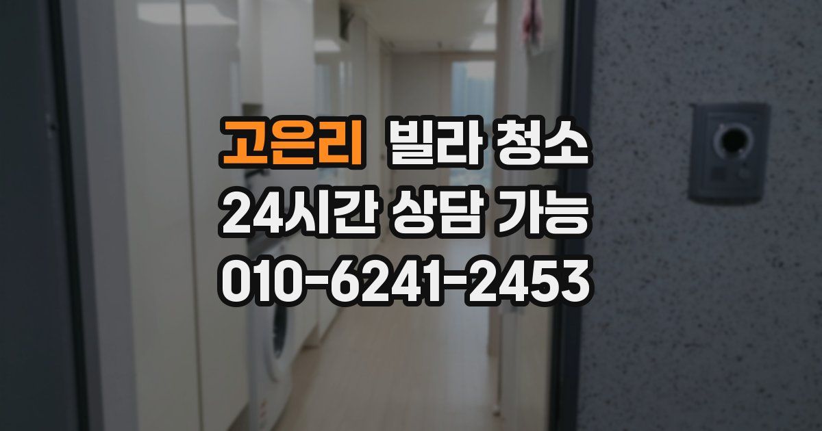 고은리 빌라 청소