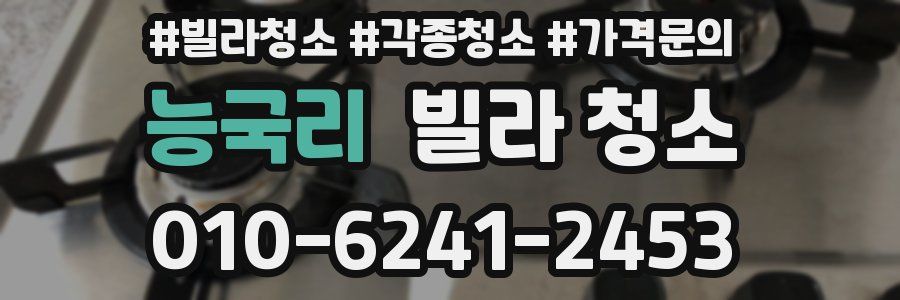 능국리 빌라 청소