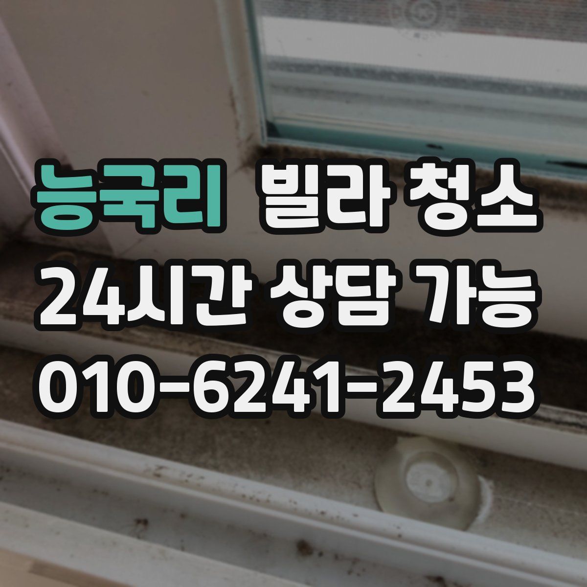 능국리 빌라 청소