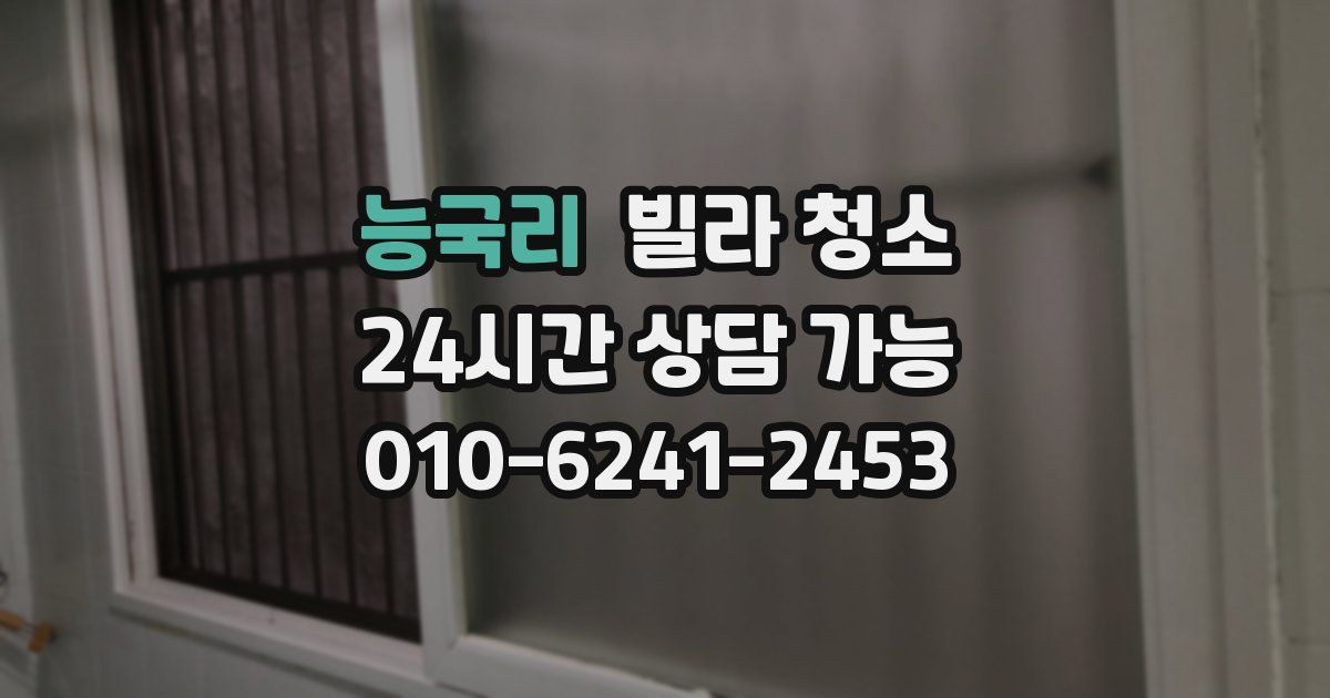 능국리 빌라 청소