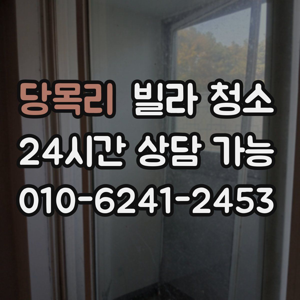 당목리 빌라 청소