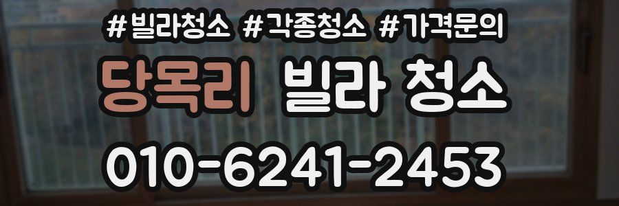 당목리 빌라 청소