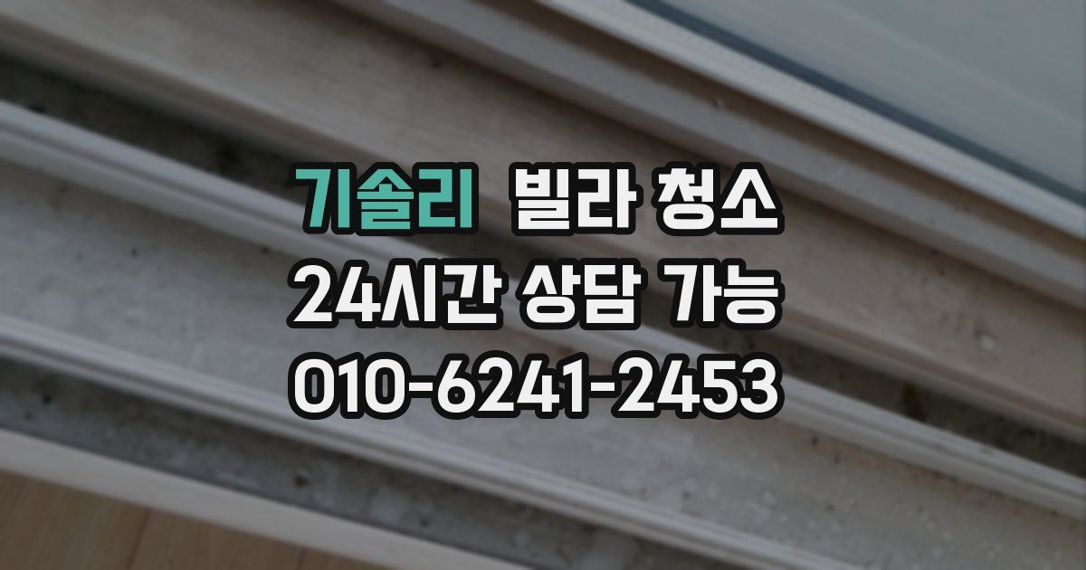 기솔리 빌라 청소