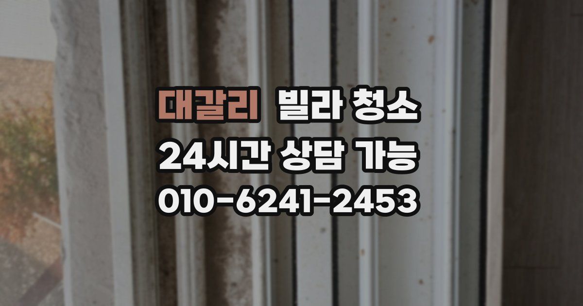 대갈리 빌라 청소