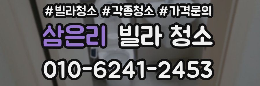 삼은리 빌라 청소