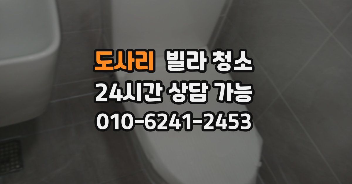 도사리 빌라 청소