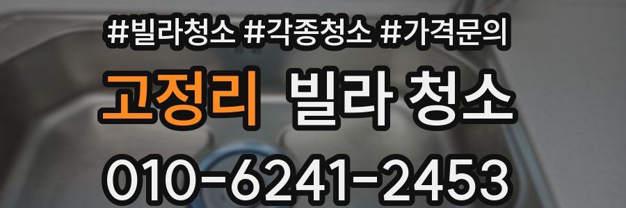 고정리 빌라 청소
