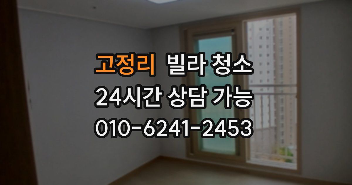 고정리 빌라 청소