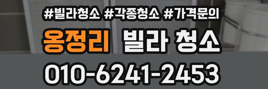 옹정리 빌라 청소