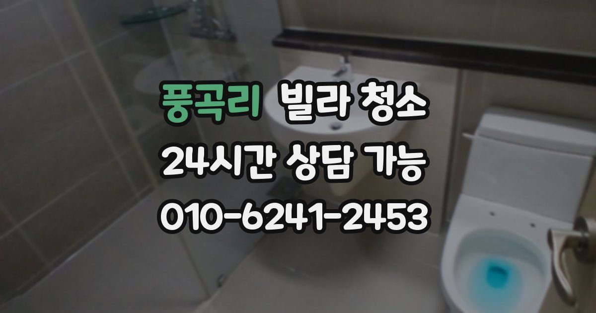 풍곡리 빌라 청소