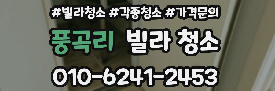 풍곡리 빌라 청소